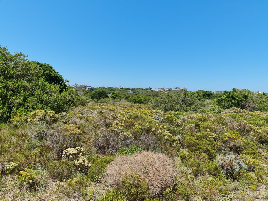 0 Bedroom Property for Sale in Paradise Beach Eastern Cape